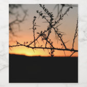 Afrikanischer Sonnenuntergang mit dorniger Acacia- Weinetikett (Einzelnes Label)
