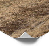 Afrikanischer Strauß auf offenen Ebenen Poster (Ecke)