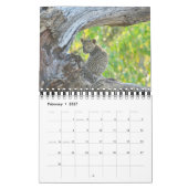 AFRIKANISCHER TIER-BABY-KALENDER KALENDER (Feb 2027)