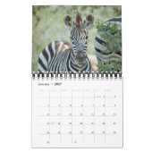 AFRIKANISCHER TIER-BABY-KALENDER KALENDER (Jan 2027)