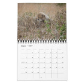 AFRIKANISCHER TIER-BABY-KALENDER KALENDER (Mär 2027)