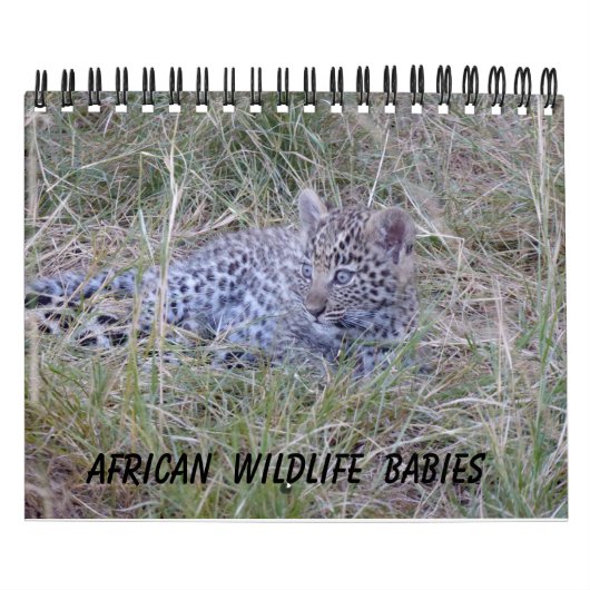 AFRIKANISCHER TIER-BABY-KALENDER KALENDER (Titelbild)