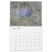 AFRIKANISCHER TIER-KALENDER KALENDER (Jan 2027)