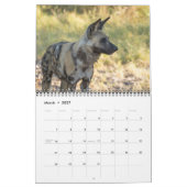 AFRIKANISCHER TIER-KALENDER KALENDER (Mär 2027)