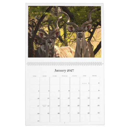 Afrikanischer Tier-Kalender Kalender (Jan 2027)