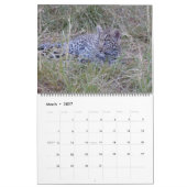 AFRIKANISCHER TIER-LIEBLINGS-KALENDER KALENDER (Mär 2027)