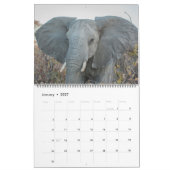 AFRIKANISCHER TIER-LIEBLINGS-KALENDER KALENDER (Jan 2027)