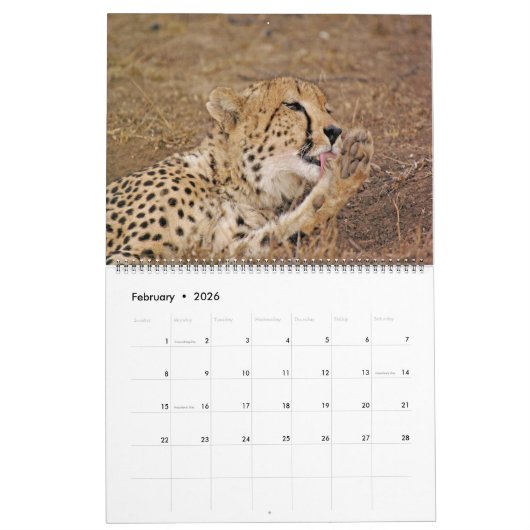 AFRIKANISCHER TIER-LIEBLINGS-KALENDER KALENDER (Feb 2026)