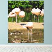 Afrikanischer Tierbeere | Funny Flamingo Lovers Leinwanddruck (Insitu (Holzboden))