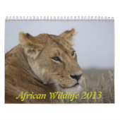 Afrikanischer Tierkalender 2013 Kalender (Titelbild)