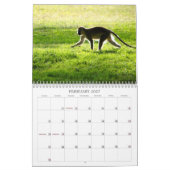 Afrikanischer Tierkalender 2013 Kalender (Feb 2027)