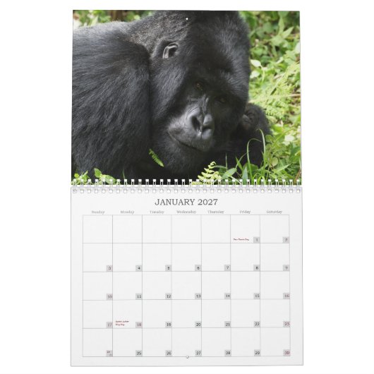 Afrikanischer Tierkalender 2013 Kalender (Jan 2027)