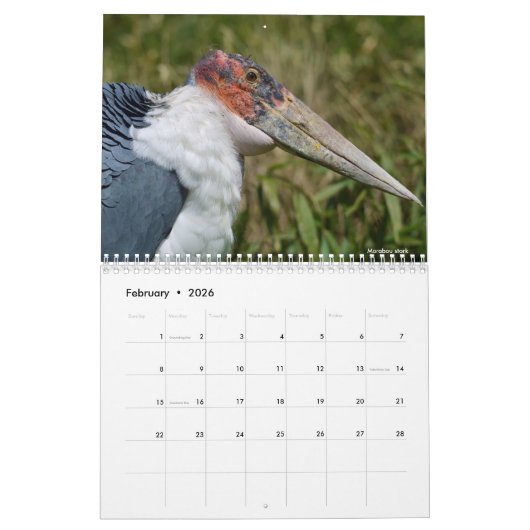 afrikanischer Tierkalender Kalender (Feb 2026)