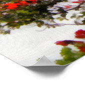 Afrikanischer Tulip Tree. Poster (Ecke)