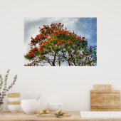Afrikanischer Tulip Tree. Poster (Küche)
