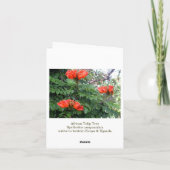 Afrikanischer Tulpe-Baum Notecard Karte (Rückseite)
