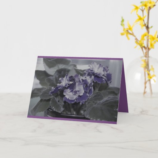 Afrikanischer VioletGeburtstag Karte (Gelbe Blume)