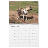 Afrikanischer wilde Hundekalender, afrikanische Kalender (Feb 2026)