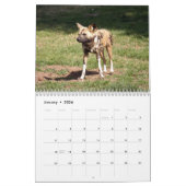 Afrikanischer wilde Hundekalender, afrikanische Kalender (Jan 2026)