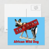 Afrikanischer Wildhund gefährdete tierische Erzeug Postkarte (Vorne/Hinten)