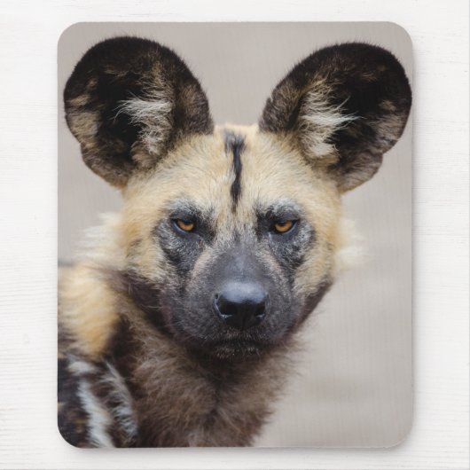 Afrikanischer Wildhund (Gemalter Hund) Mousepad (Vorne)