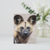 Afrikanischer Wildhund (Gemalter Hund) Postkarte (Stehend Vorderseite)