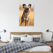 Afrikanischer Wildhund Leinwanddruck (Insitu (Schlafzimmer))