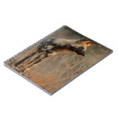 Afrikanischer Wildhund (Lycaon Pictus), Krüger Notizblock (Linke Seite)