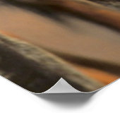 Afrikanischer Wildhund (Lycaon Pictus), Krüger Poster (Ecke)