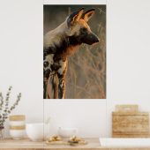 Afrikanischer Wildhund (Lycaon Pictus), Krüger Poster (Küche)