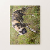 Afrikanischer Wildhund (Lycaon Pictus), Madikwe Ga Puzzle (Vertikal)