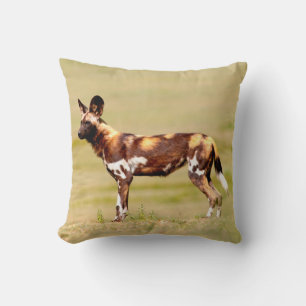 Afrikanischer Wildhund (Lycaon Pictus) stehend Kissen