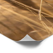 Afrikanischer Wildhund Poster (Ecke)