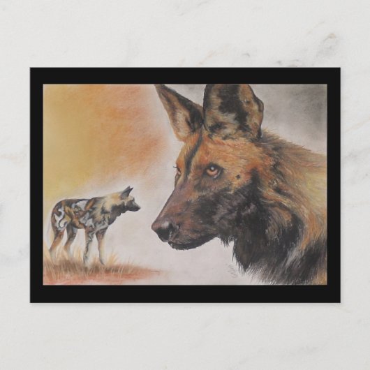 Afrikanischer Wildhund Postkarte (Vorderseite)