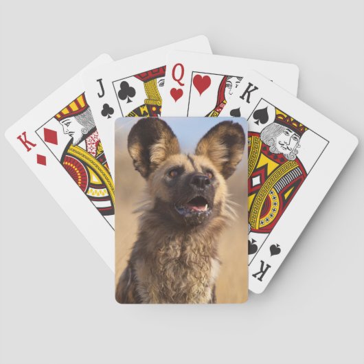 Afrikanischer Wildhund Spielkarten (Rückseite)