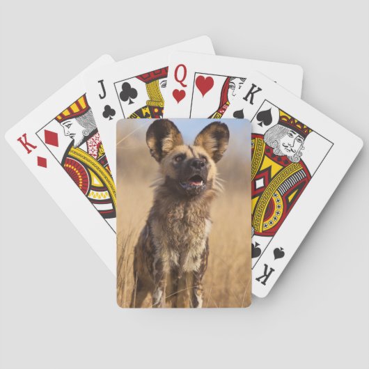 Afrikanischer Wildhund Spielkarten (Rückseite)