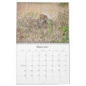 AFRIKANISCHER WILDLIFE-BABIEN-Kalender Kalender (Mär 2027)