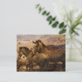 Afrikanischer Zebras Postkarte (Stehend Vorderseite)