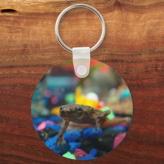 Afrikanischer Zwarf Schlüsselanhänger (Vorderseite)