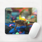 Afrikanischer zwergartiger Frosch Mousepad (Mit Mouse)
