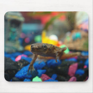 Afrikanischer zwergartiger Frosch Mousepad
