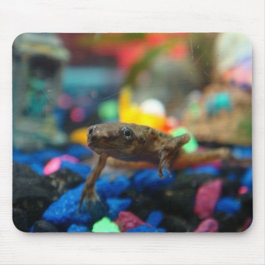Afrikanischer zwergartiger Frosch Mousepad (Vorne)