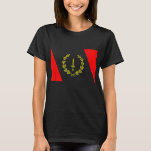 Afrikanisches amerikanisches Kulturerbe-Flag 1967 T-Shirt