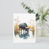 Afrikanisches Buffalo am Wasser Feiertagspostkarte (Stehend Vorderseite)