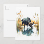Afrikanisches Buffalo am Wasser Feiertagspostkarte (Vorne/Hinten)