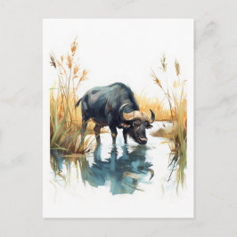 Afrikanisches Buffalo am Wasser Feiertagspostkarte