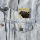 Afrikanisches Buffalo, Syncerus-Kaffeehaus Button (Beispiel)