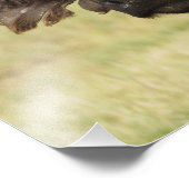 Afrikanisches Buffalo, Syncerus-Kaffeehaus Fotodruck (Ecke)