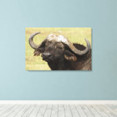 Afrikanisches Buffalo, Syncerus-Kaffeehaus Leinwanddruck (Insitu (Holzboden))
