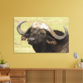 Afrikanisches Buffalo, Syncerus-Kaffeehaus Leinwanddruck (Insitu (Wohnzimmer))